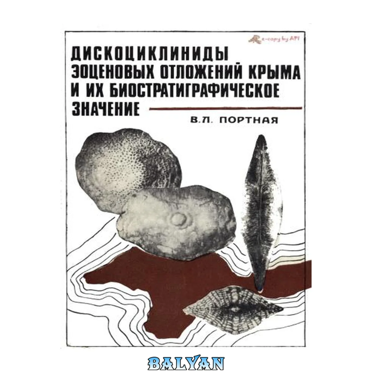 جلد کتاب Дискоциклиниды эоценовых отложений Крыма и их биостртаиграфическое значение