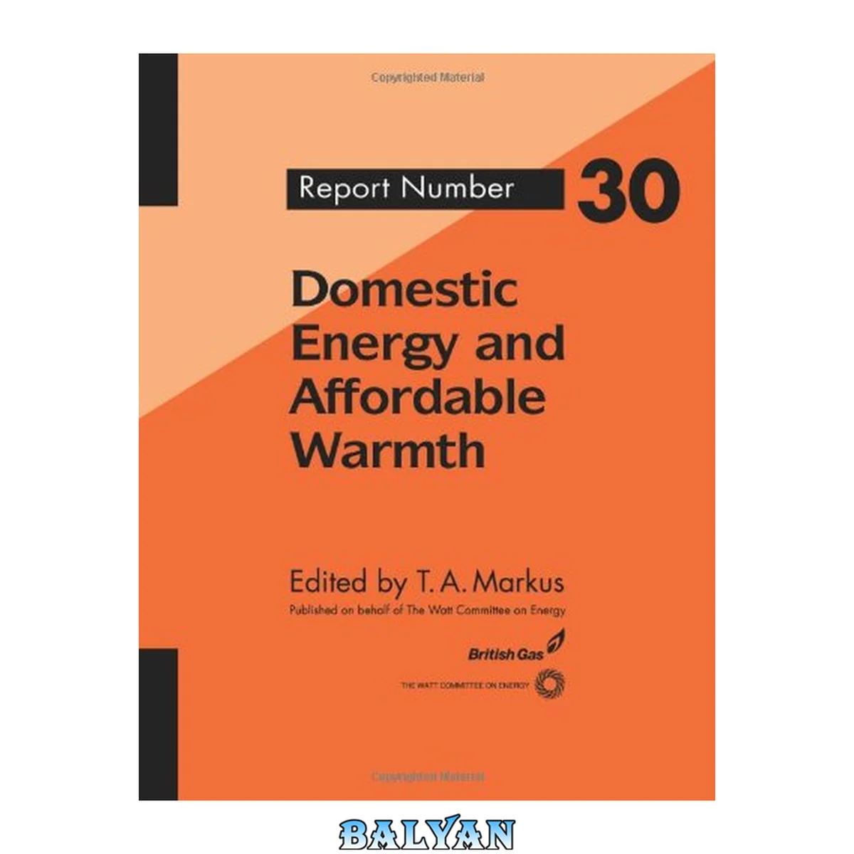جلد کتاب Domestic Energy and Affordable Warmth (Watt Committee on Energy, Report Number 30)