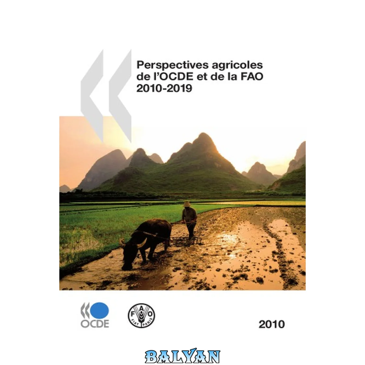 جلد کتاب Perspectives agricoles de l'OCDE et de la FAO 2010: Edition 2010 (AGRICULTURE ET ALIMENTATION, ENVIRONNEME) (French Edition)
