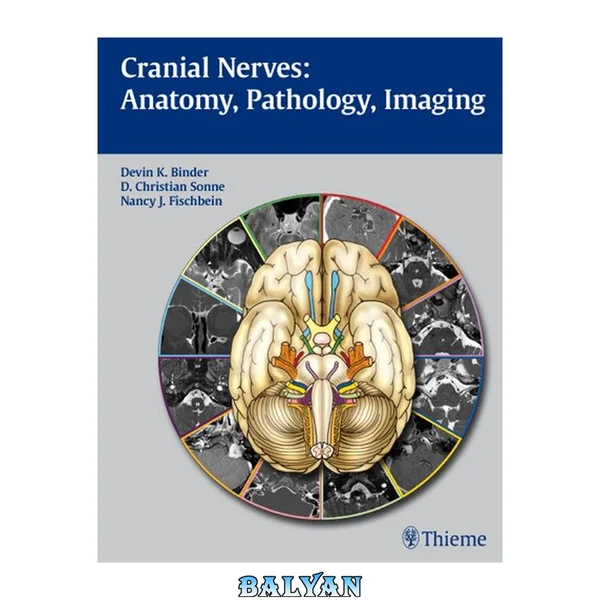 Cranial Nerves: Anatomy, Pathology, Imaging: Anatomy, Pathology, Imaging
