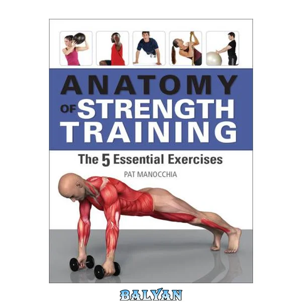 Anatomy of Strength Training