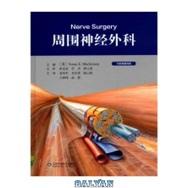 周围神经外科 Nerve Surgery (山东科学技术出版社,2021)