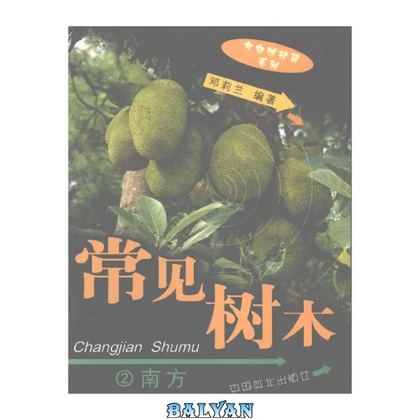 常见树木. 2, 南方