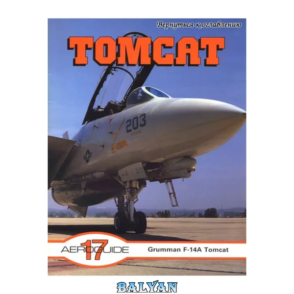 گرومن F-14A تام‌کت (راهنمای هوایی ۱۷)