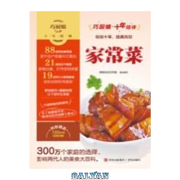 巧厨娘十年经典:家常菜