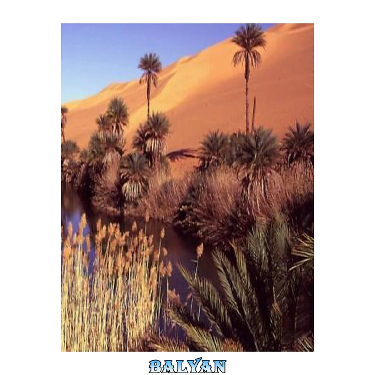 جلد کتاب Sustainable landscape design in arid climates : proceedings of a symposium jointly organized by the Aga Khan Trust for Agriculture, the Center for Advanced Study in the Visual Arts/National Gallery of art, Studies in Landscape Architecture, Dumbarton Oaks