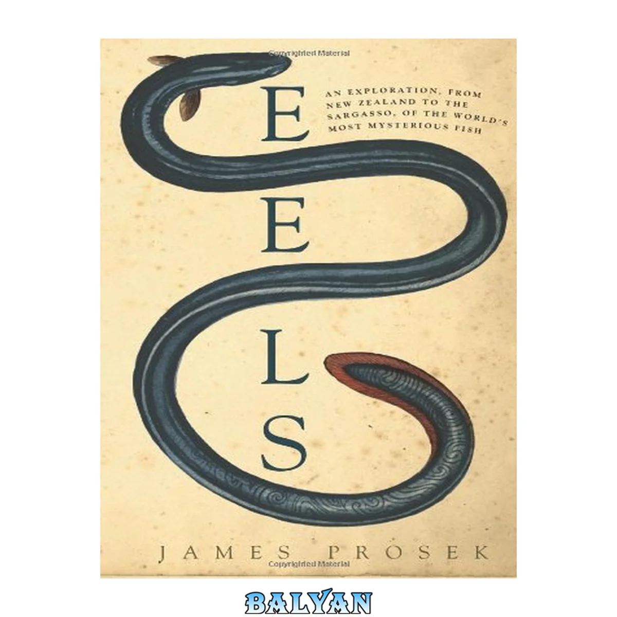 جلد کتاب Eels : an exploration, from New Zealand to the Sargasso, of the world's most amazing and mysterious fish