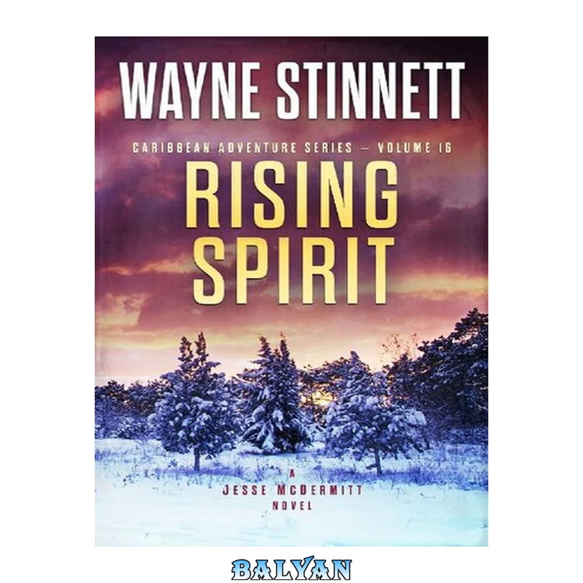جلد کتاب Rising Spirit: A Jesse McDermitt Novel (Caribbean Adventure Series Book 16)
