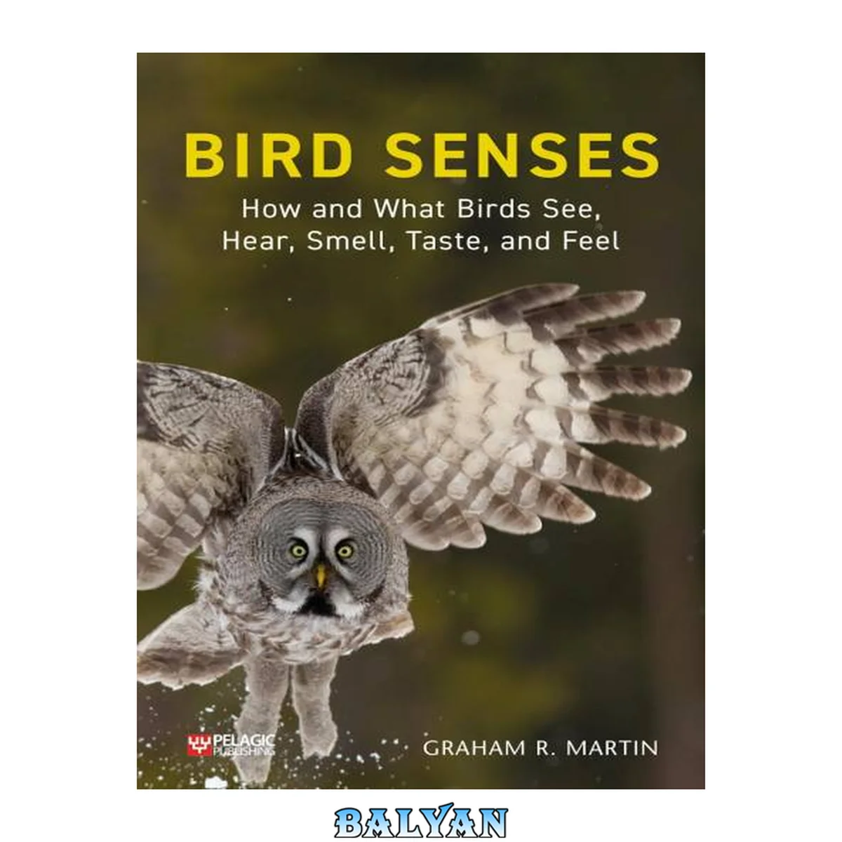 جلد کتاب Bird senses : how and what birds see, hear, smell, taste, and feel