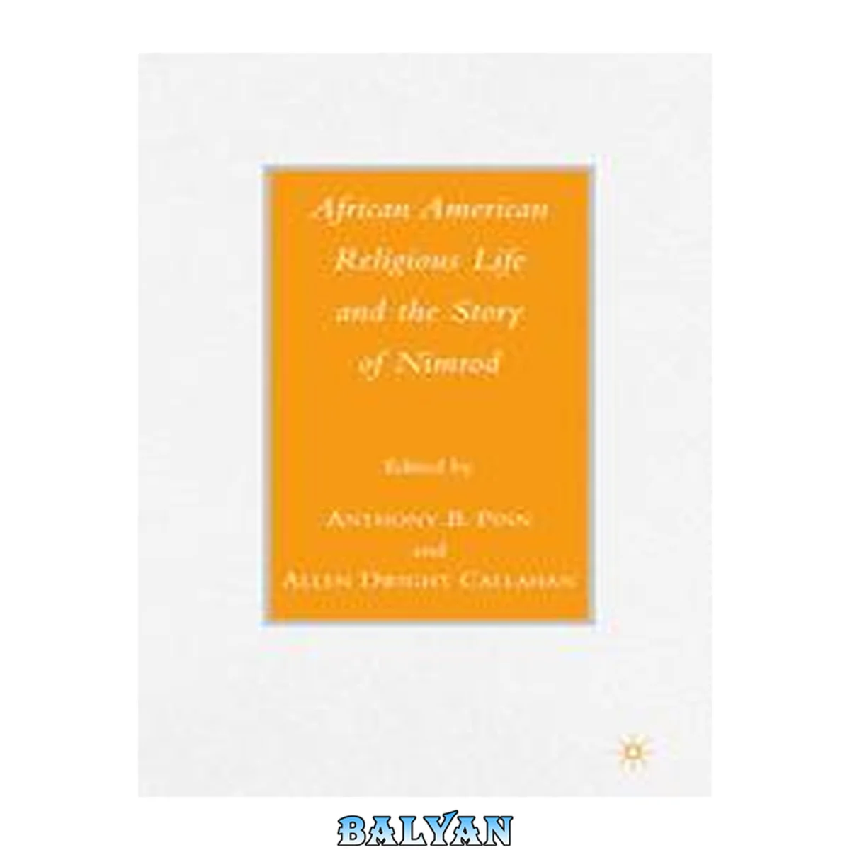 جلد کتاب African American Religious Life and the Story of Nimrod