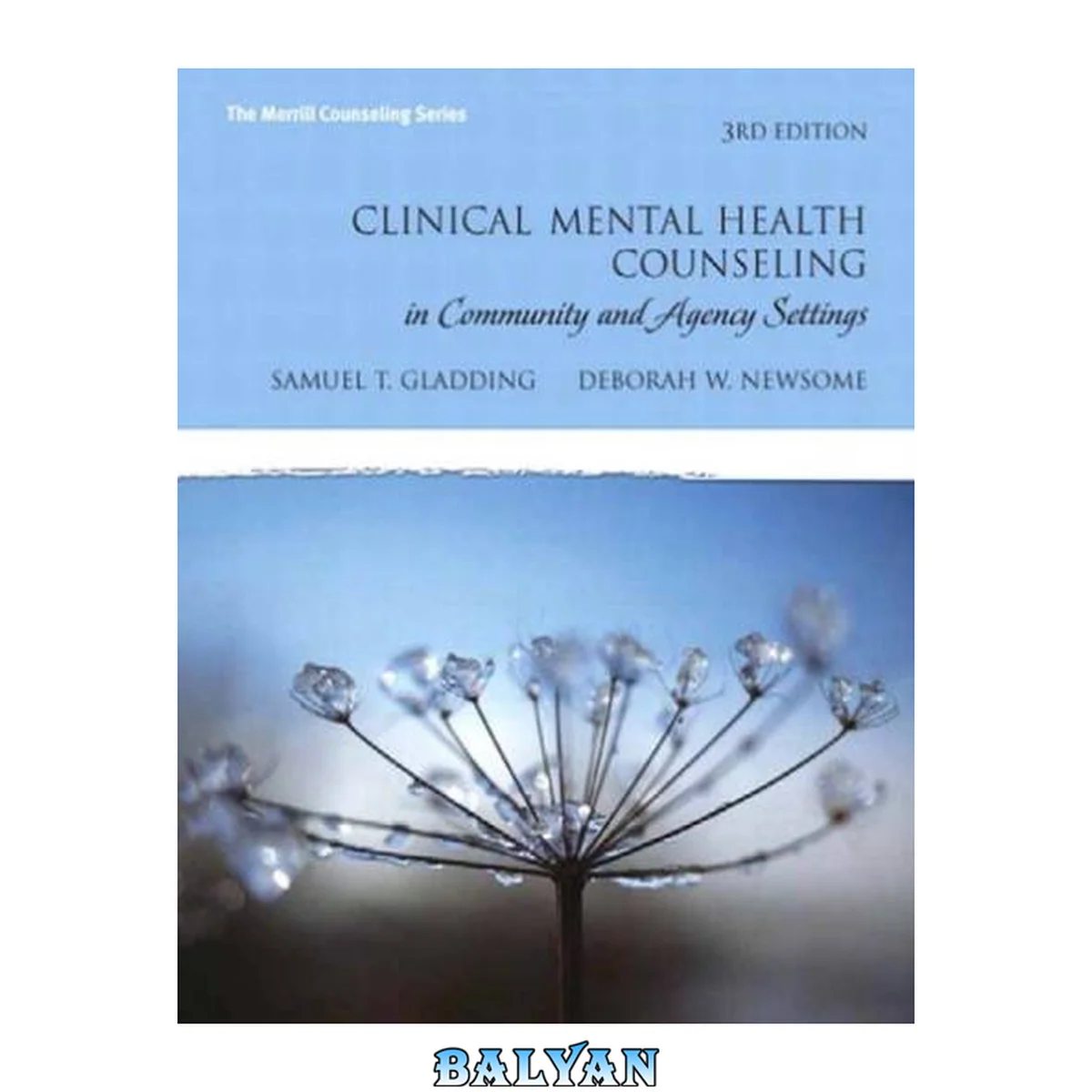 جلد کتاب Clinical Mental Health Counseling in Community and Agency Settings, 3rd Edition (The Merrill Counseling Series)