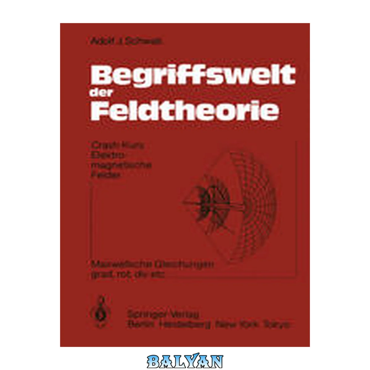 جلد کتاب Begriffswelt Der Feldtheorie: Crash-kurs Elektromagnetische Felder Maxwellsche Gleichungen; Grad, Rot, Div Etc. (german Edition)