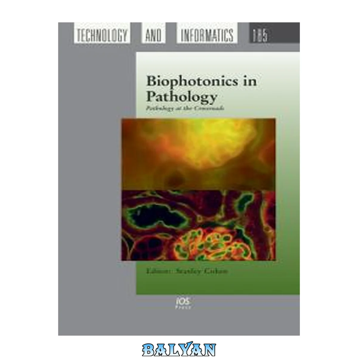 جلد کتاب Biophotonics In Pathology :  Pathology At The Crossroads (studies In Health Technology And Informatics)