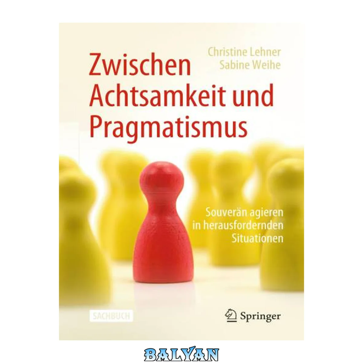 جلد کتاب Zwischen Achtsamkeit und Pragmatismus: Souverän agieren in herausfordernden Situationen (German Edition)
