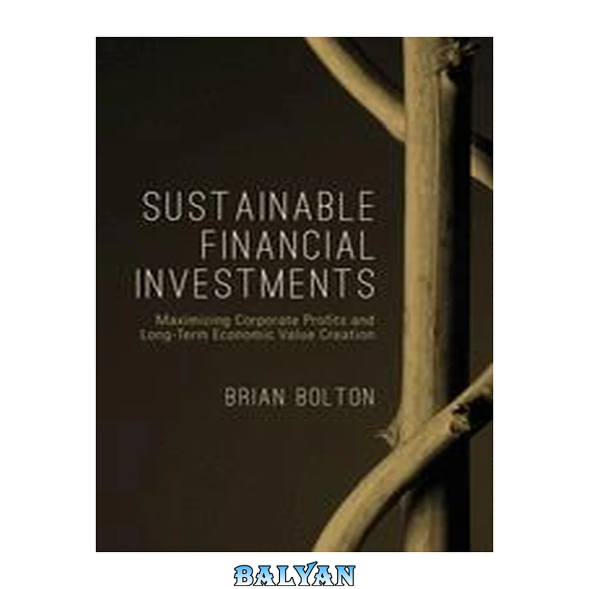 جلد کتاب Sustainable Financial Investments: Maximizing Corporate Profits and Long-Term Economic Value Creation (The Diversity, Leadership and Responsibility Series)