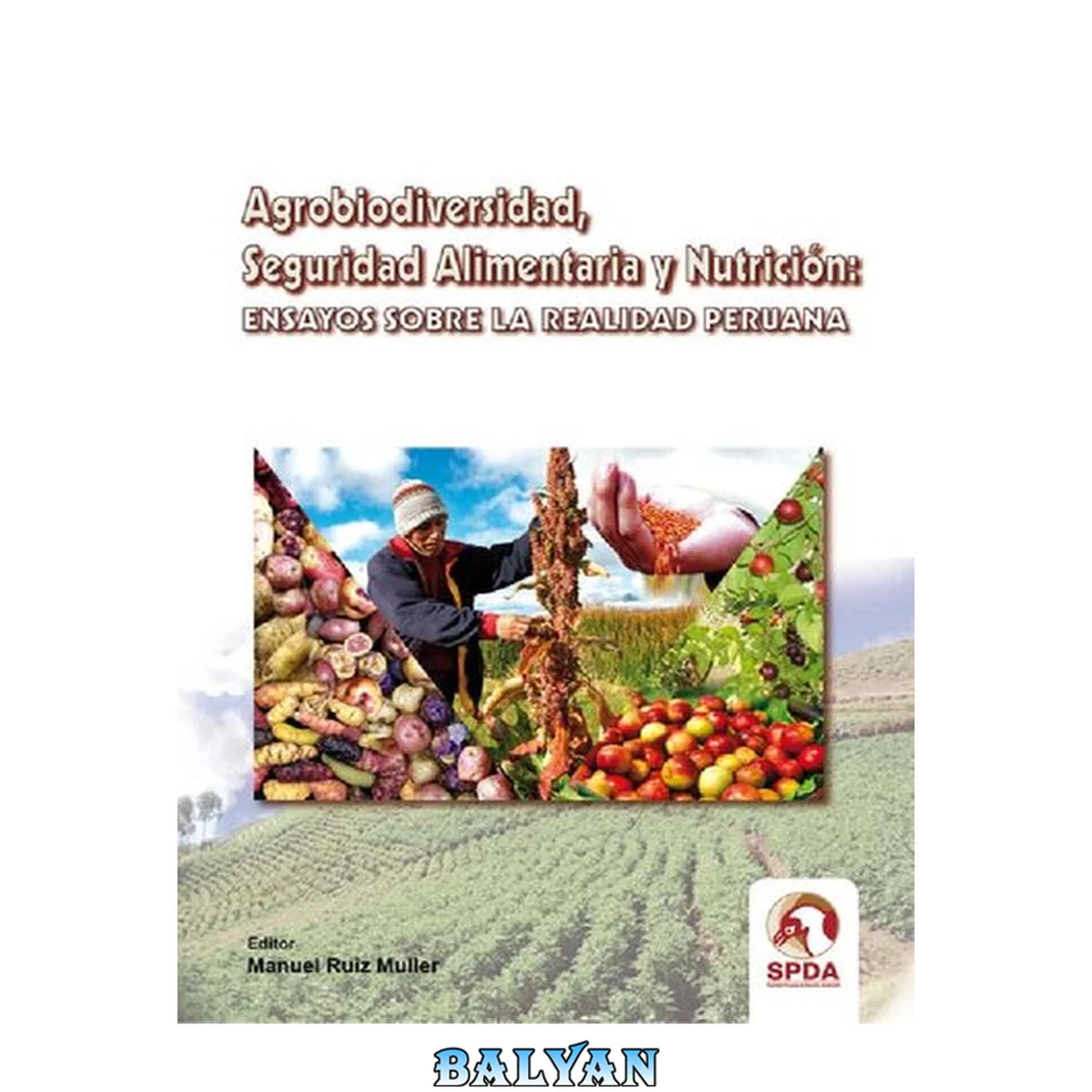 جلد کتاب Agrobiodiversidad, Seguridad Alimentaria y Nutrición: Ensayos sobre la Realidad Peruana
