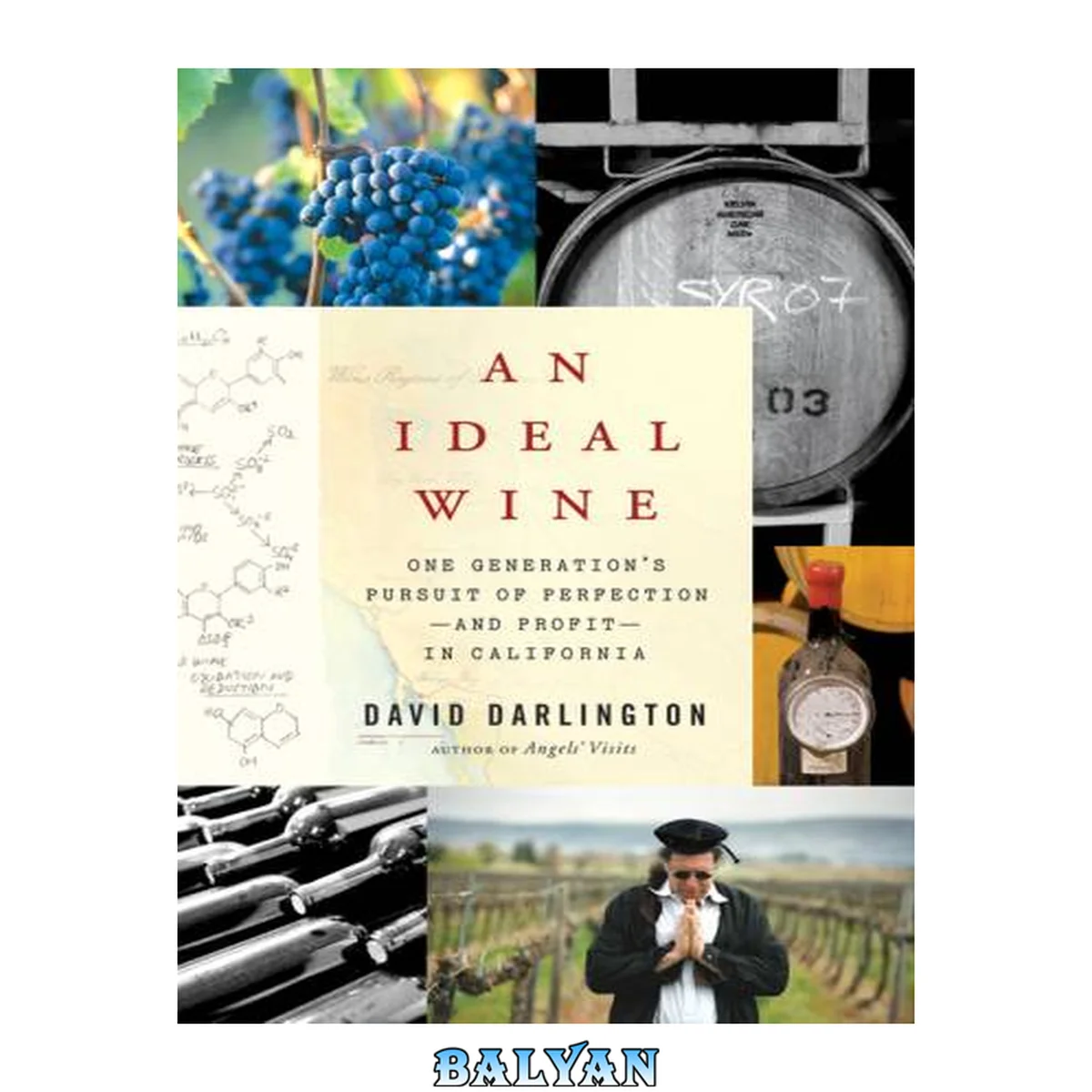 جلد کتاب An ideal wine : one generation's pursuit of perfection-- and profit-- in California