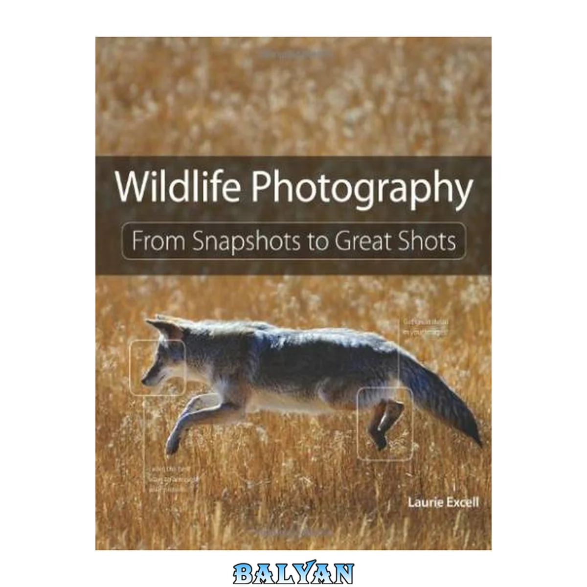 جلد کتاب Wildlife Photography: From Snapshots to Great Shots (Eva Spring's Library)