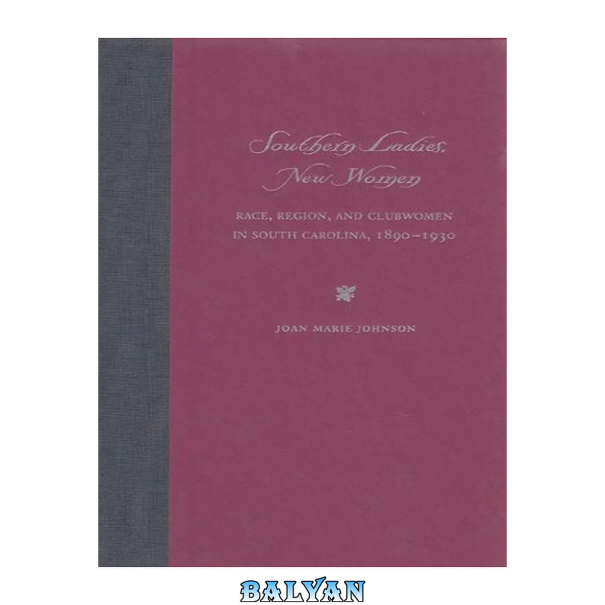 جلد کتاب Southern Ladies, New Women: Race, Region, and Clubwomen in South Carolina, 1890-1930 (New Perspectives on the History of the South)