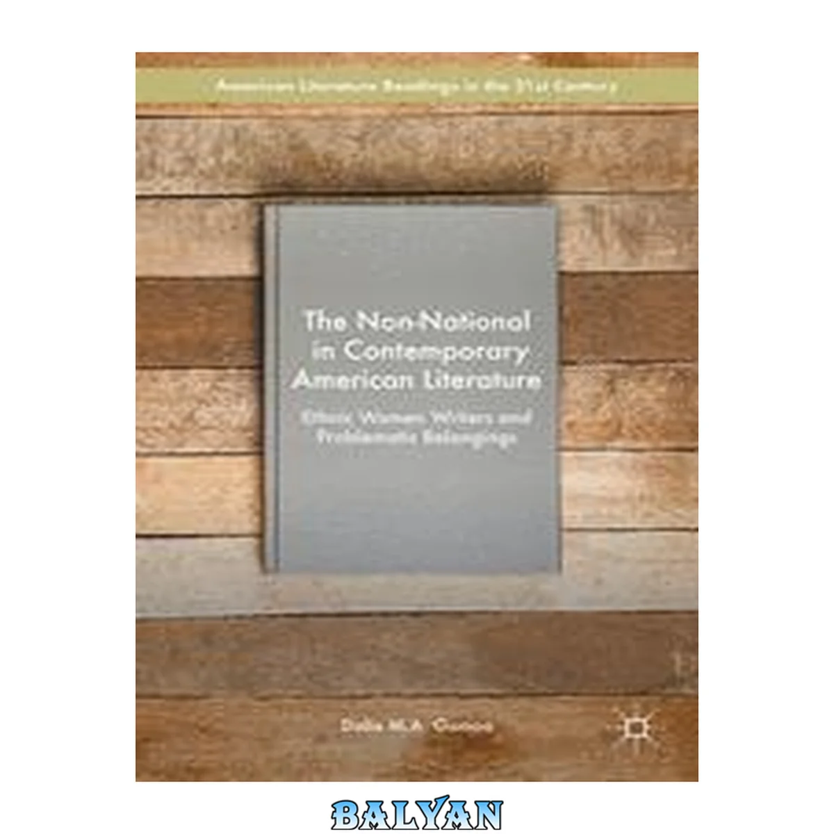 جلد کتاب The Non-National in Contemporary American Literature : Ethnic Women Writers and Problematic Belongings