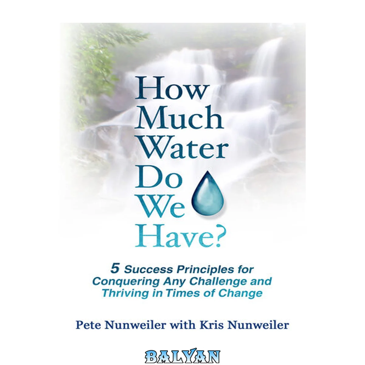 جلد کتاب How much water do we have? : 5 success principles for conquering any challenge and thriving in times of change