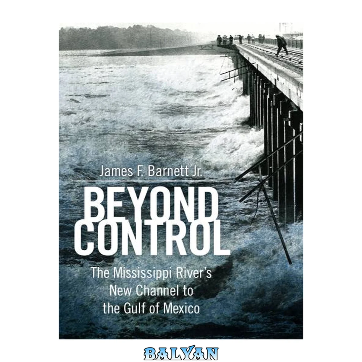 جلد کتاب Beyond Control: The Mississippi River’s New Channel to the Gulf of Mexico (America's Third Coast Series)