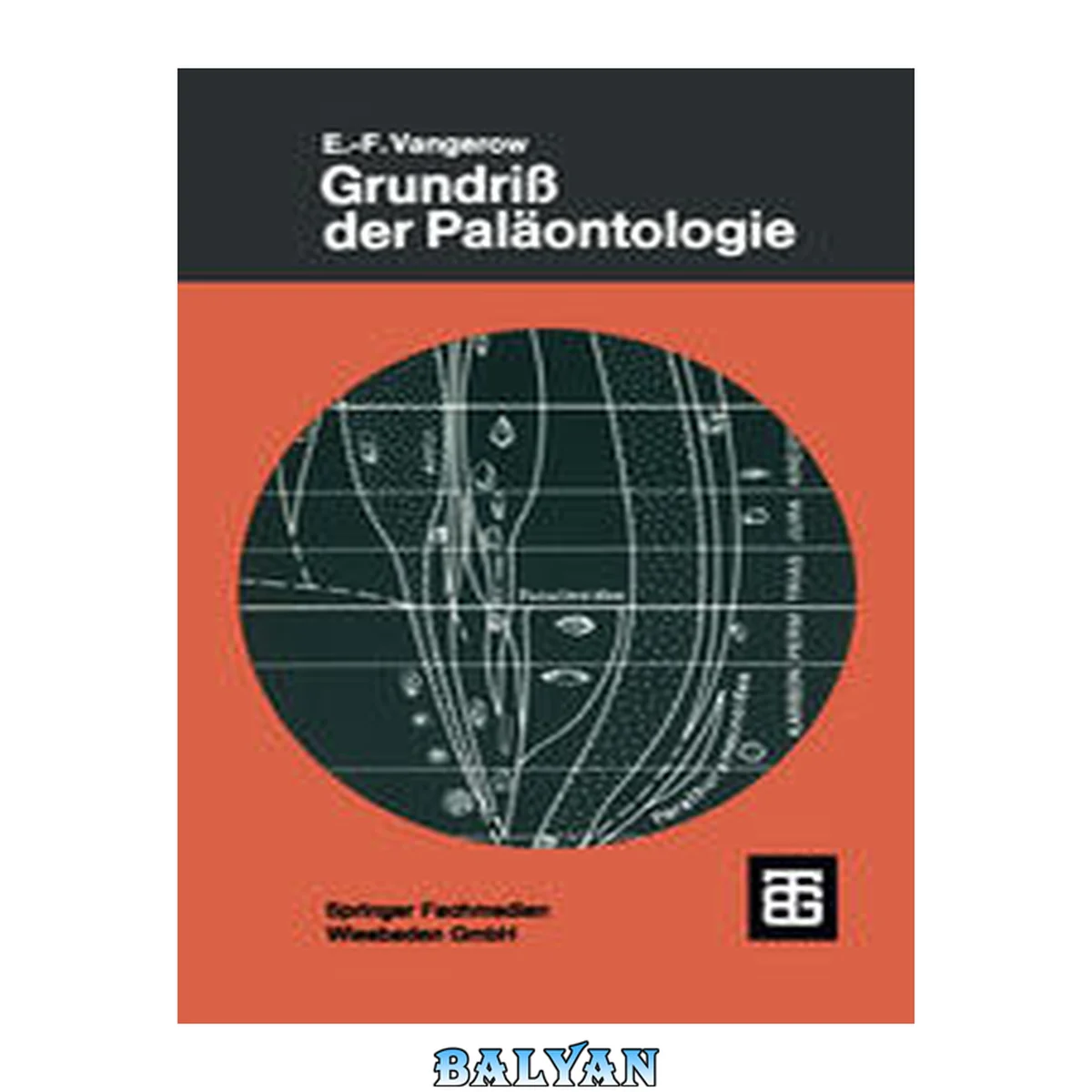 جلد کتاب Grundriß der Paläontologie (Teubner Studienbücher der Biologie) (German Edition)