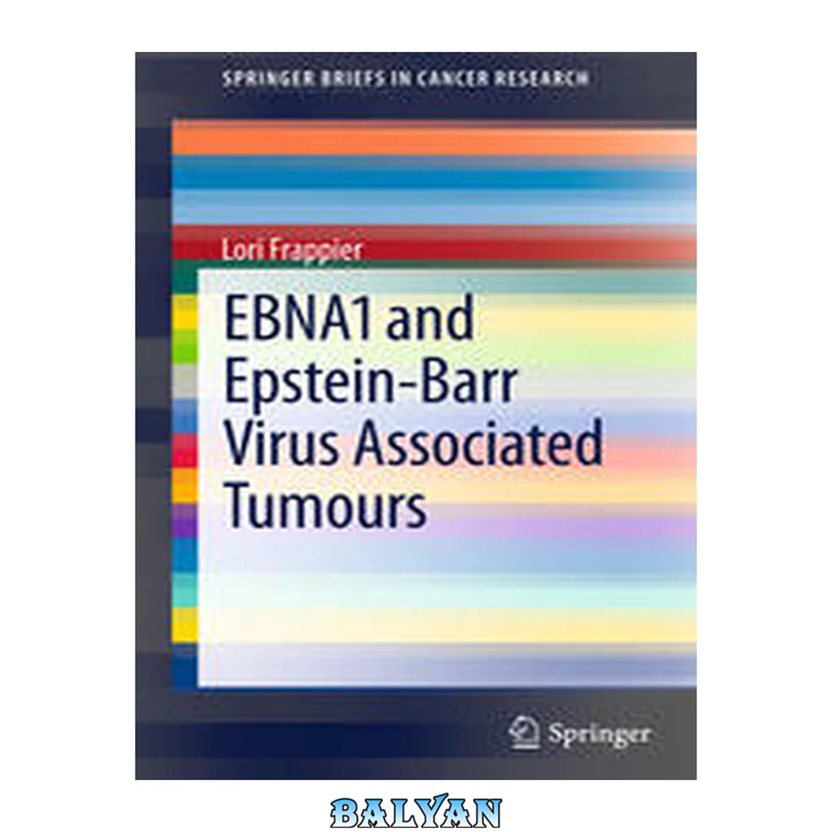 جلد کتاب EBNA1 and EpsteinBarr Virus Associated Tumours
            
                Springerbriefs in Cancer Research