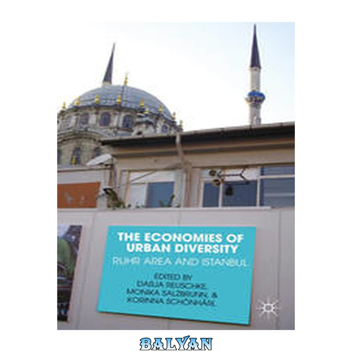 جلد کتاب The Economies of Urban Diversity: The Ruhr Area and Istanbul