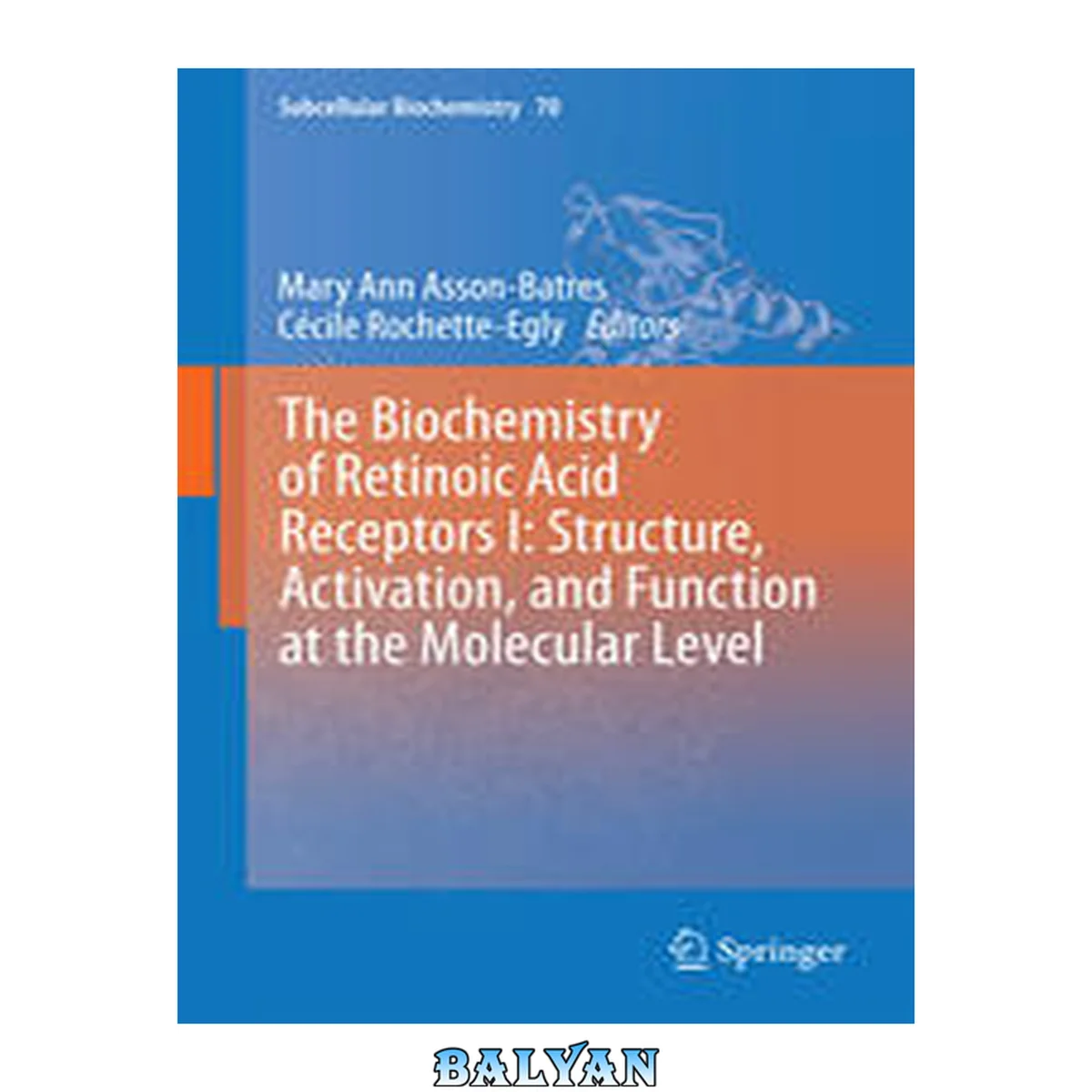 جلد کتاب The Biochemistry of Retinoic Acid Receptors I: Structure, Activation, and Function at the Molecular Level (Subcellular Biochemistry Book 70)