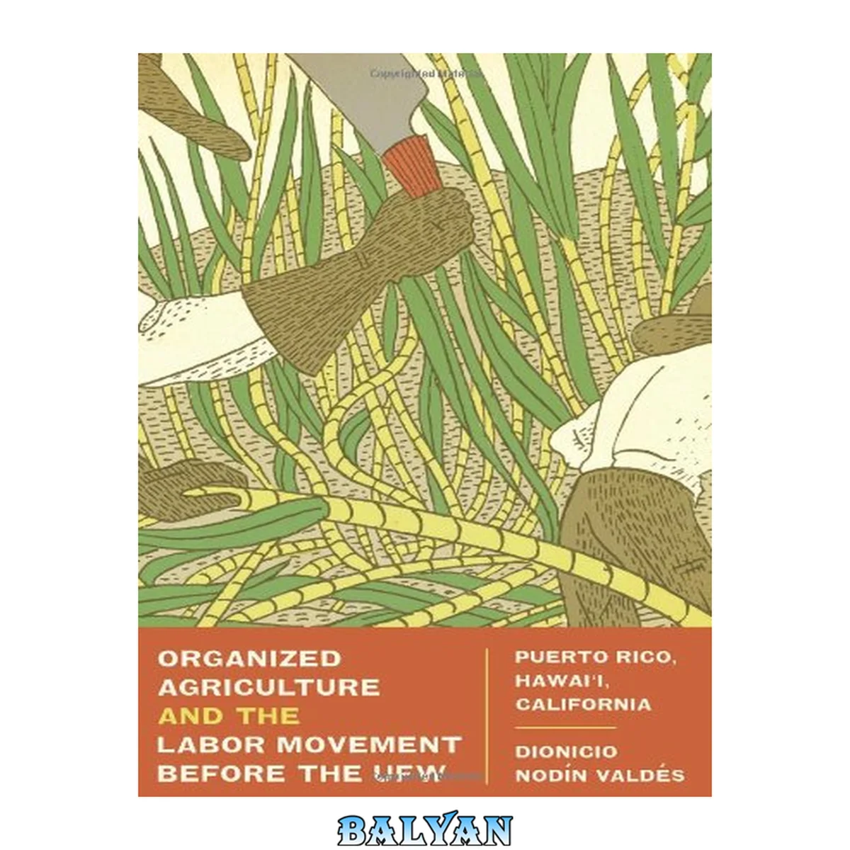 جلد کتاب Organized Agriculture and the Labor Movement Before the UFW : Puerto Rico, Hawai’i, California