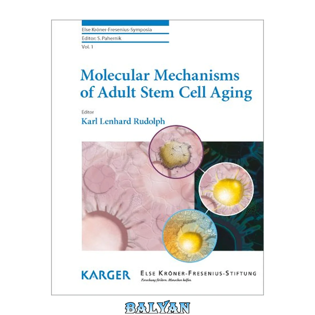 جلد کتاب Molecular Mechanisms of Adult Stem Cell Aging (Else Kroner-Fresenius-Symposia, Vol. 1)