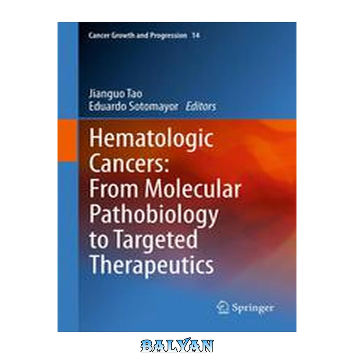 جلد کتاب Hematologic Cancers: From Molecular Pathobiology to Targeted Therapeutics (Cancer Growth and Progression Book 14)