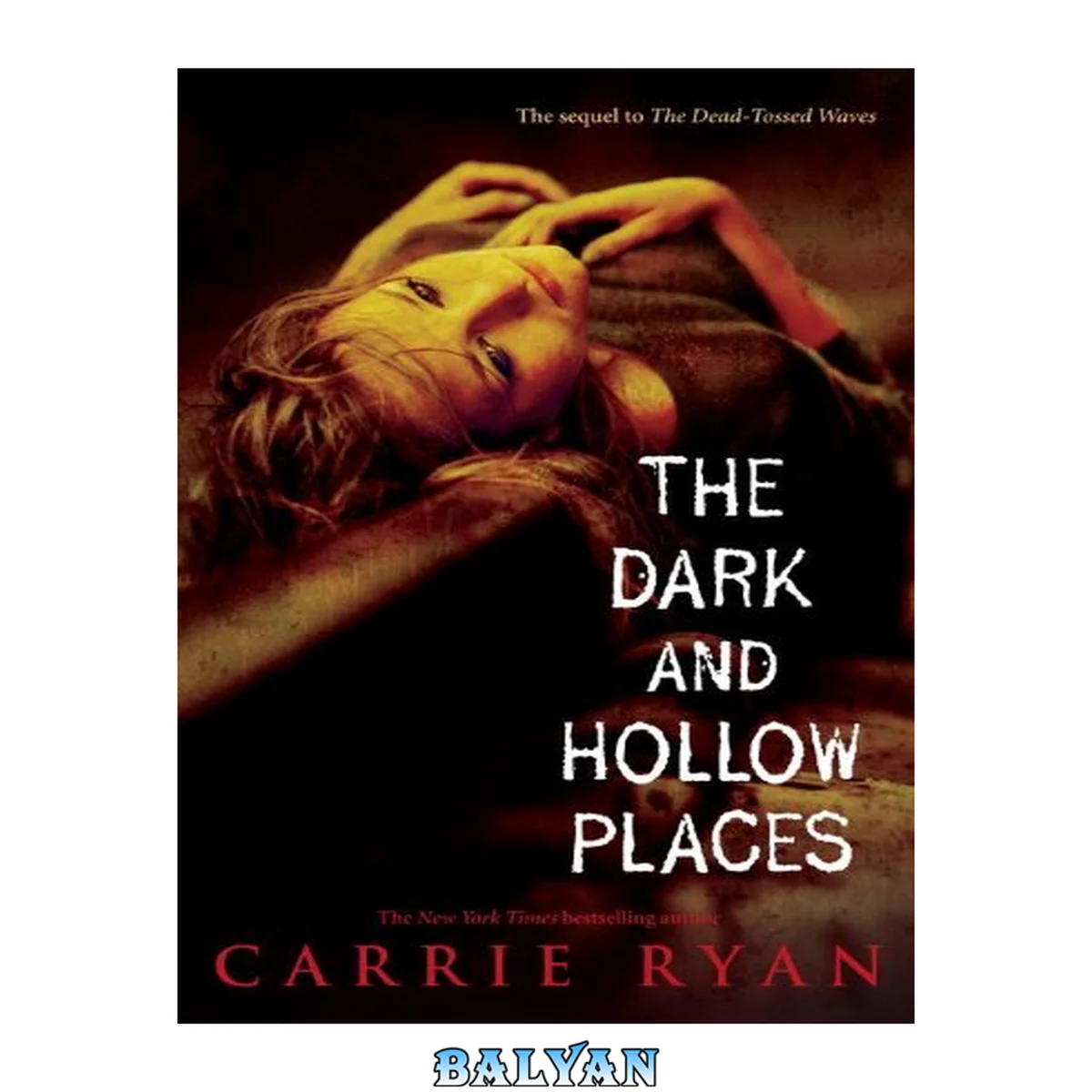 جلد کتاب The dark and hollow places : the Forest of Hands and Teeth Series, Book 3