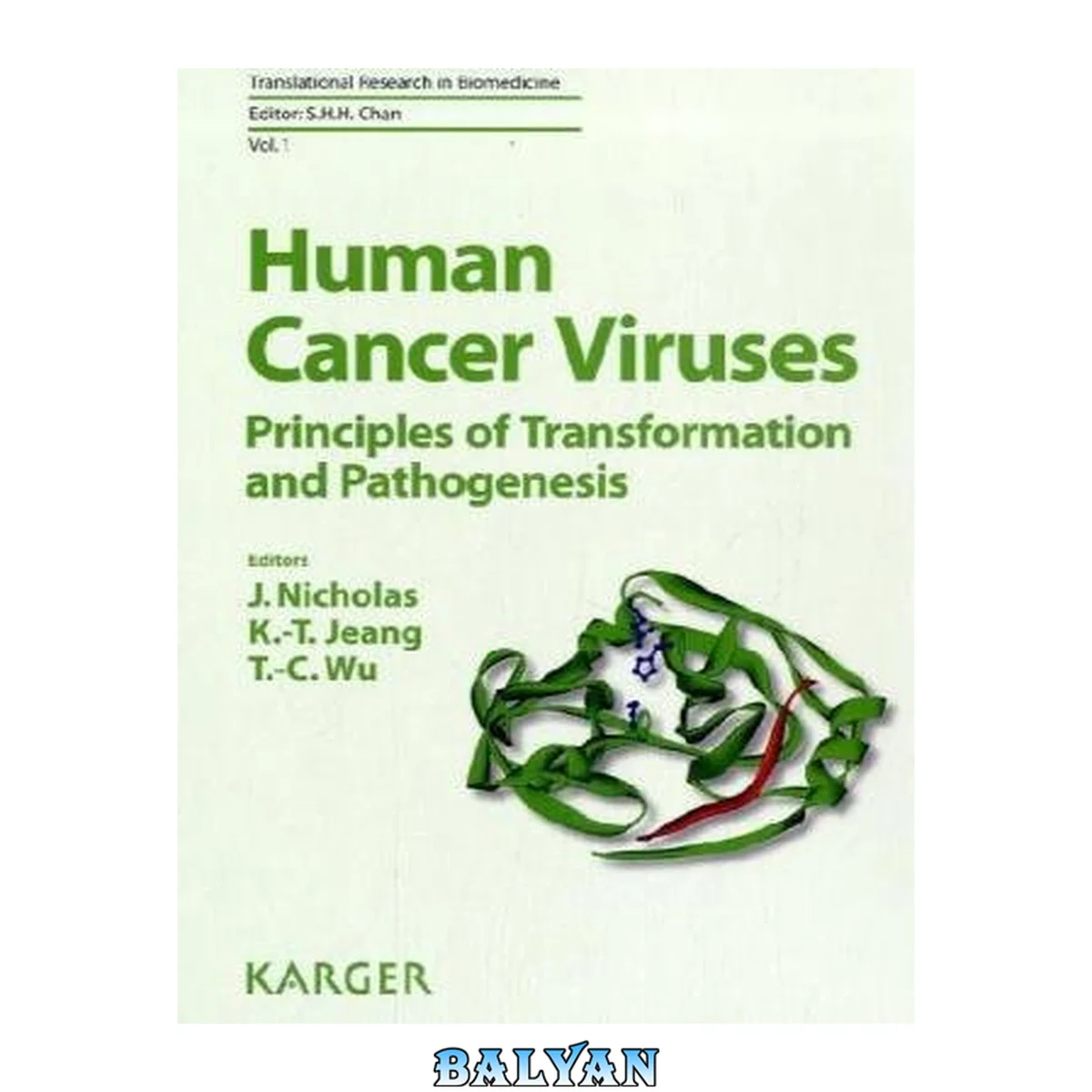 جلد کتاب Human Cancer Viruses: Principles of Transformation and Pathogenesis (Translational Research in Biomedicine, Vol. 1)
