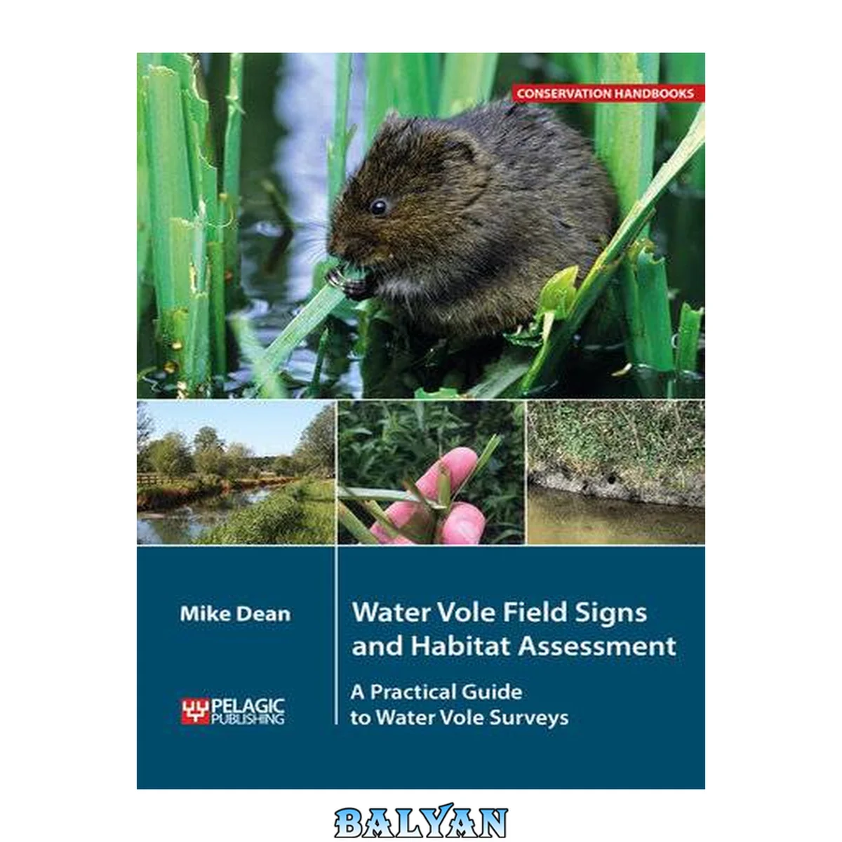 جلد کتاب Water Vole Field Signs and Habitat Assessment: A Practical Guide to Water Vole Surveys (Conservation Handbooks)