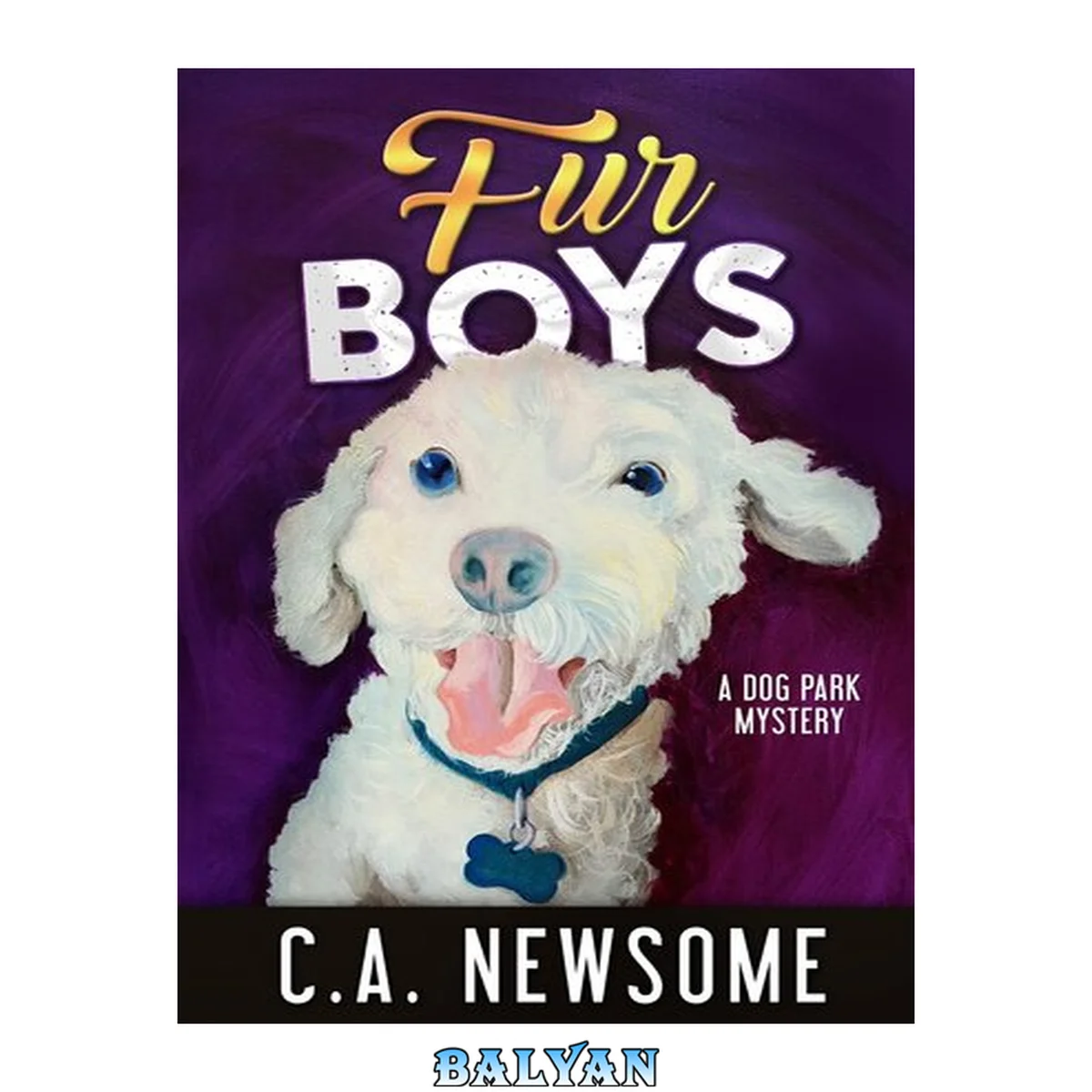 جلد کتاب Fur Boys: Lia Anderson Dog Park Mysteries, #6