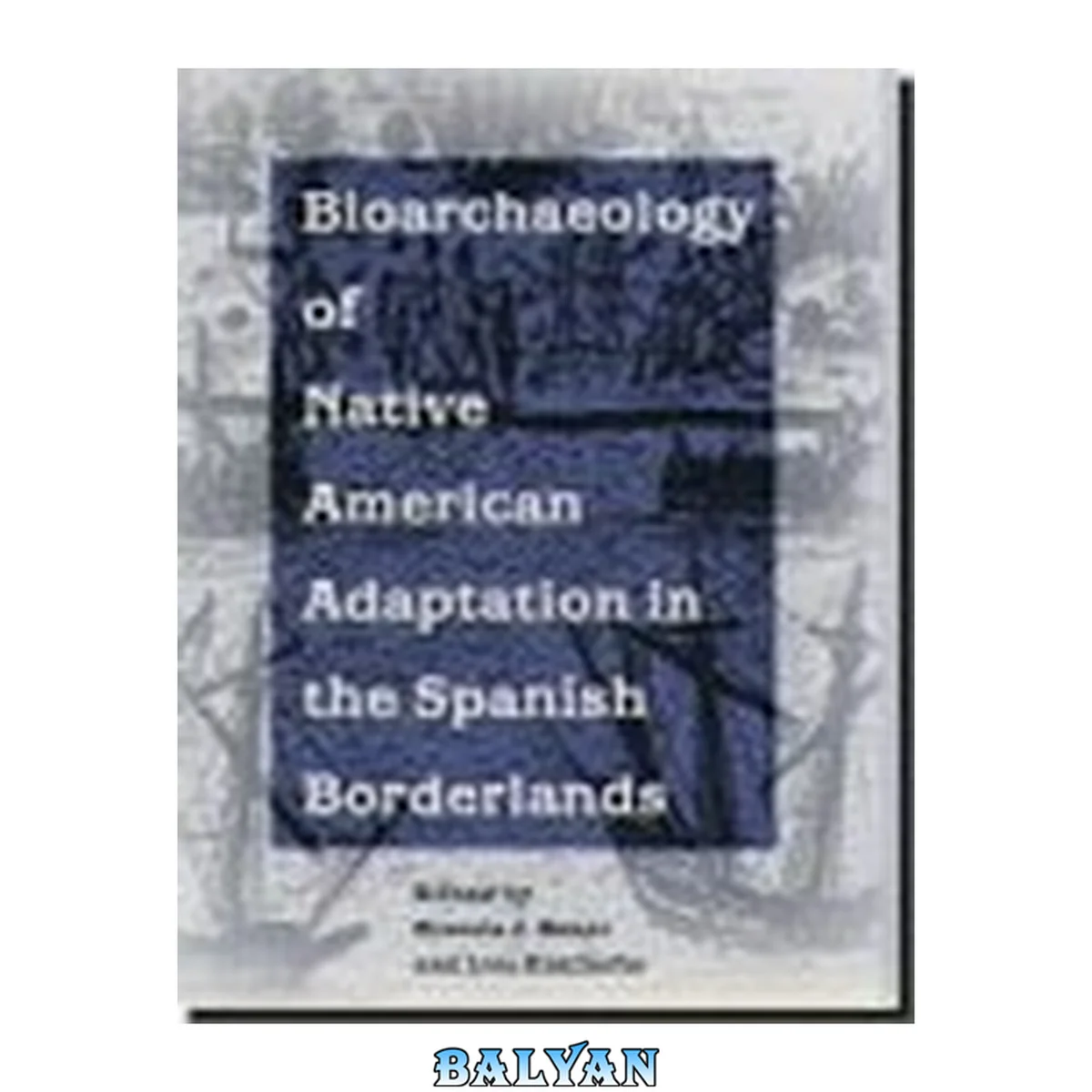 جلد کتاب Bioarchaeology of Native Americans in the Spanish Borderlands (Ripley P. Bullen Series)