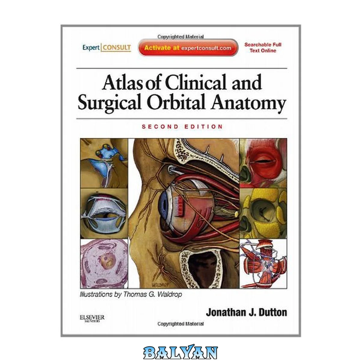 جلد کتاب Atlas of Clinical and Surgical Orbital Anatomy, Second Edition: Expert Consult: Online and Print