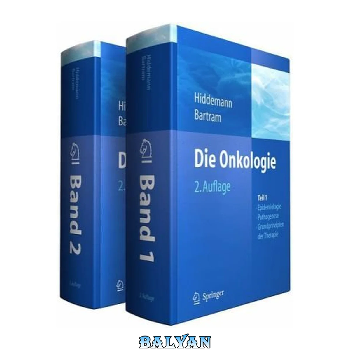 جلد کتاب Die Onkologie: Teil 1: Epidemiologie - Pathogenese - Grundprinzipien der Therapie. 2. Auflage