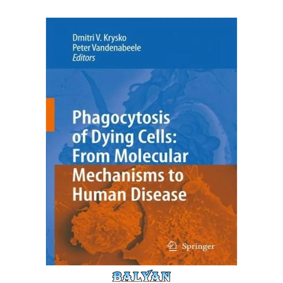 جلد کتاب Phagocytosis of Dying Cells : From Molecular Mechanisms to Human Diseases