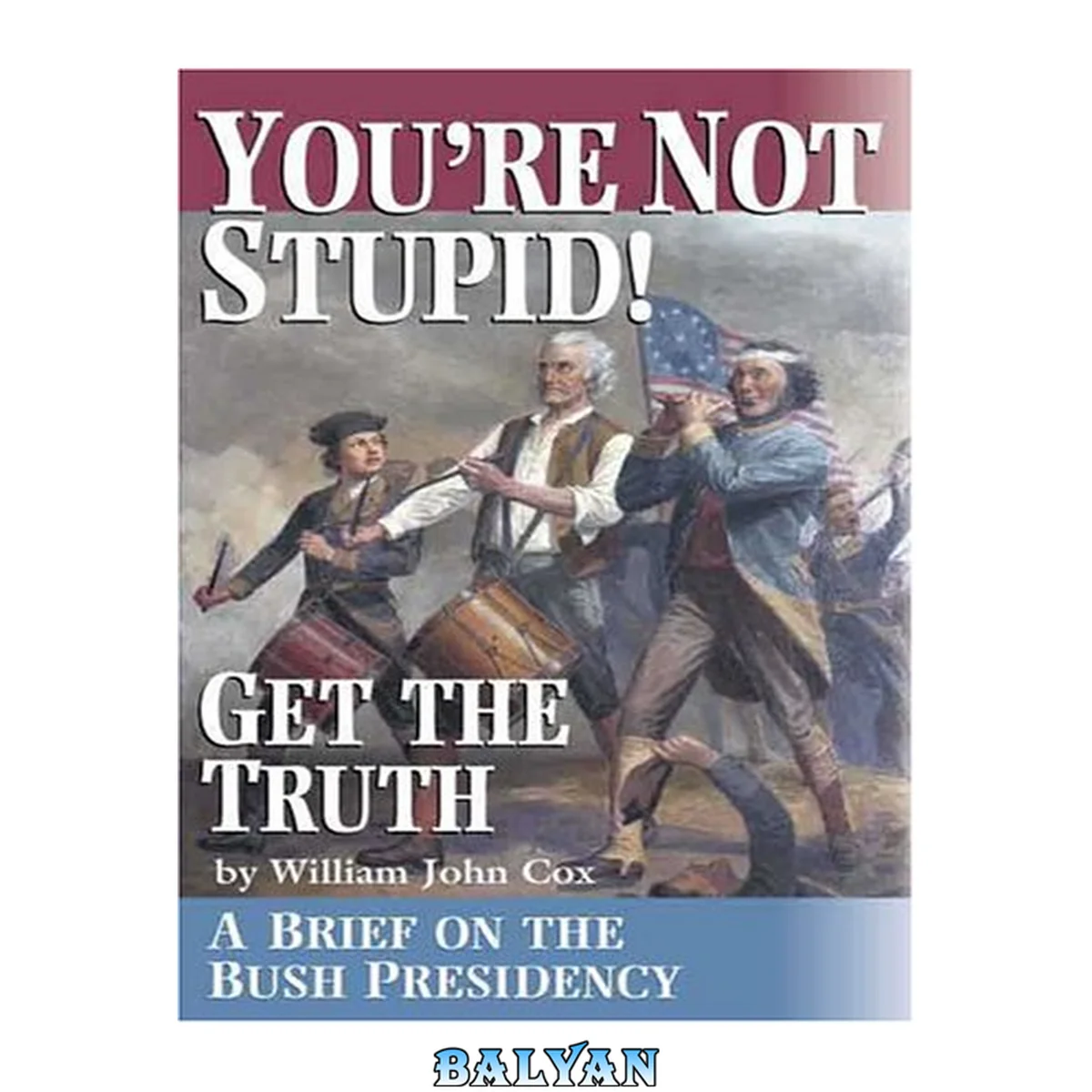 جلد کتاب You're not stupid! Get the truth : a brief on the Bush presidency