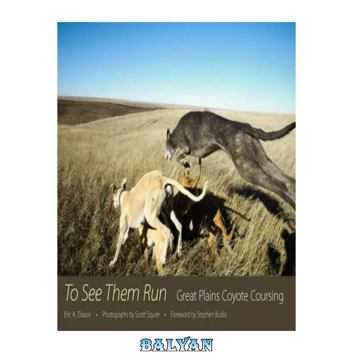 جلد کتاب To see them run : the nature and art of Great Plains coyote coursing