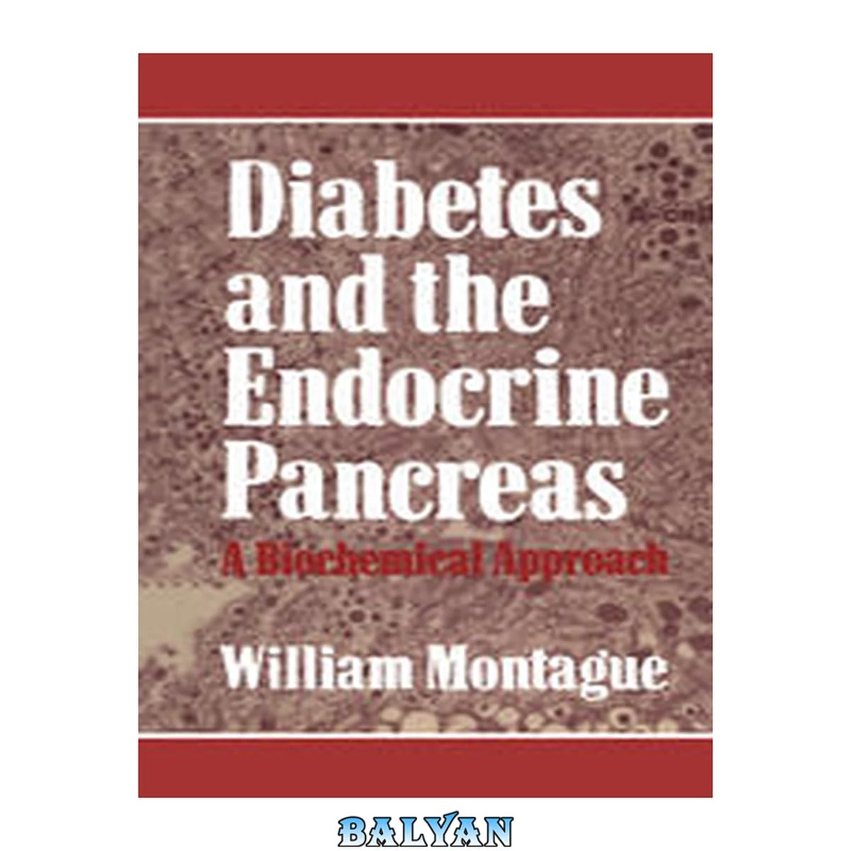 جلد کتاب Diabetes and the Endocrine Pancreas: A Biochemical Approach (Croom Helm Biology in Medicine Series)