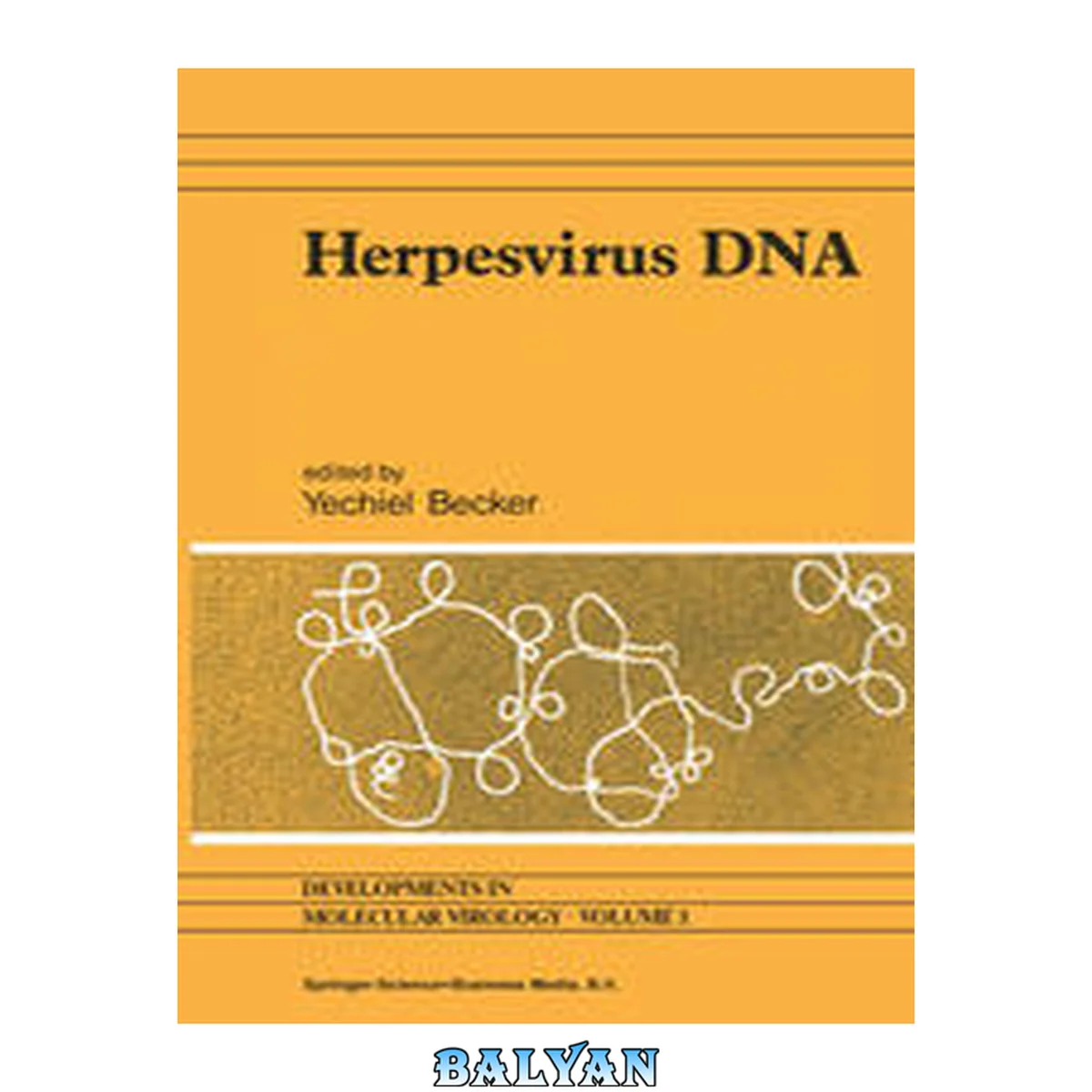 جلد کتاب Herpesvirus DNA : Recent Studies on the Organization of Viral Genomes, MRNA Transcription, DNA Replication, Defective DNA, and Viral DNA Sequences in Transformed Cells and Bacterial Plasmids