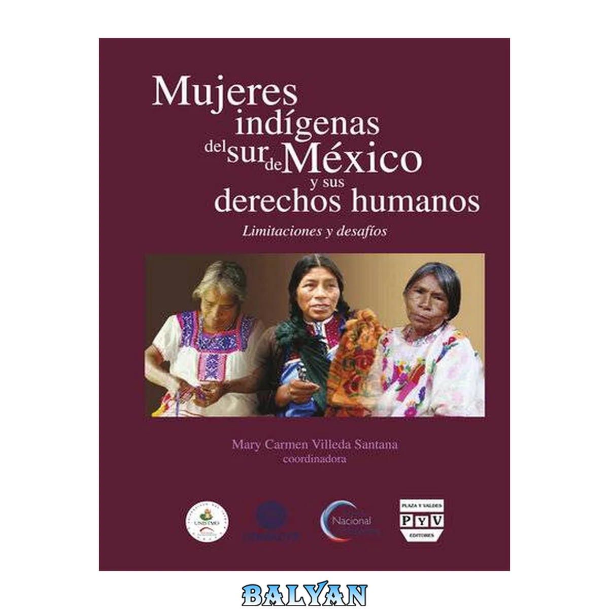 جلد کتاب Mujeres Indígenas Del Sur De México Y Sus Derechos Humanos: Limitaciones Y Desafíos