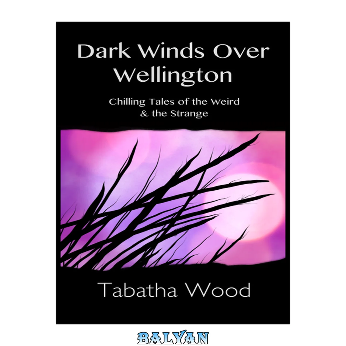 جلد کتاب Dark winds over Wellington : chilling tales of the weird &amp; the strange