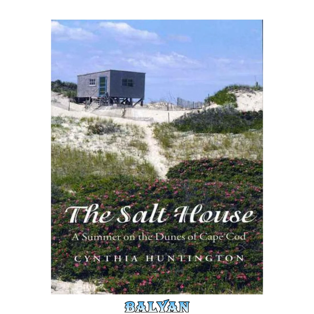 جلد کتاب The salt house : a summer on the dunes of Cape Cod