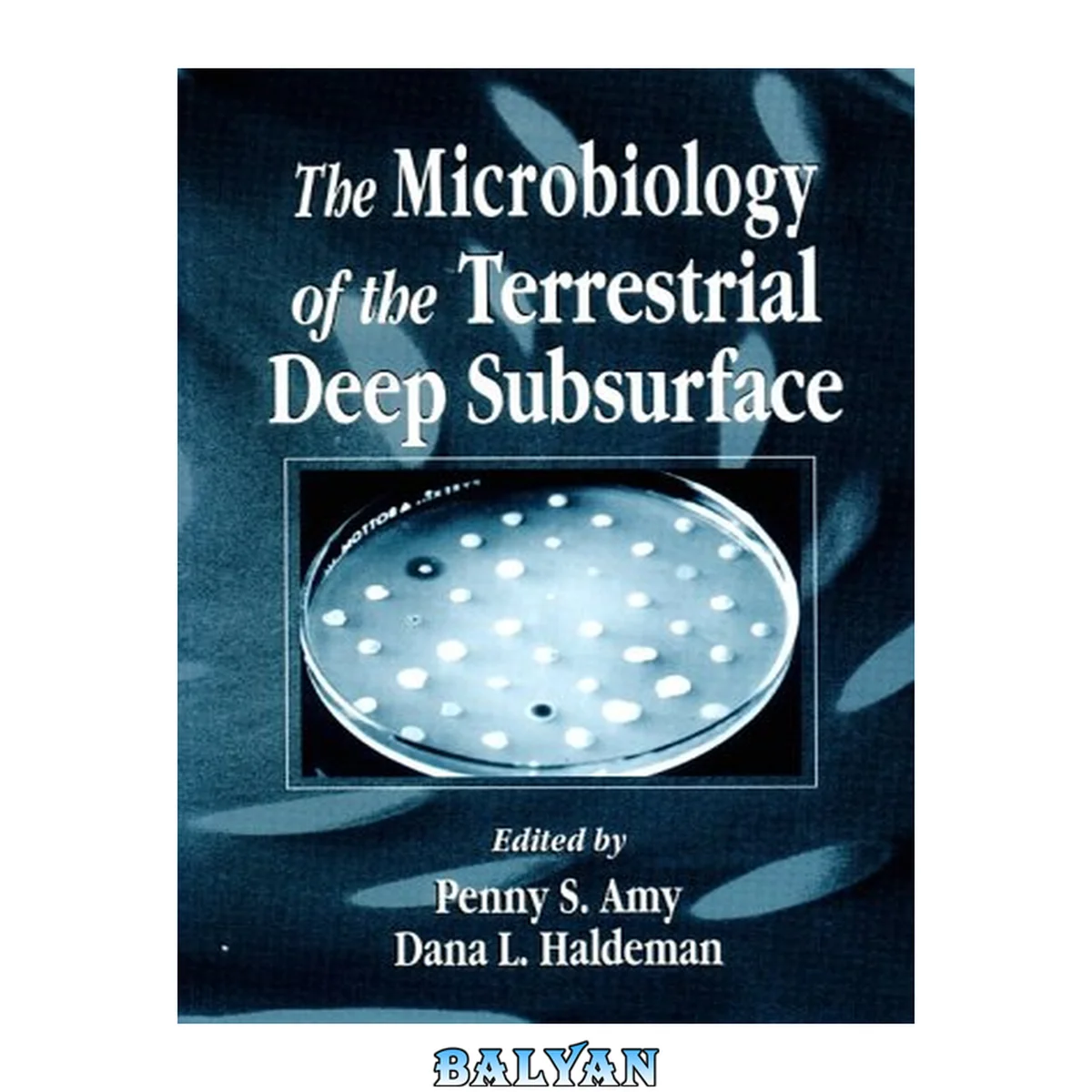 جلد کتاب The Microbiology of the Terrestrial Deep Subsurface (The Microbiology of Extreme and Unusual Environments)
