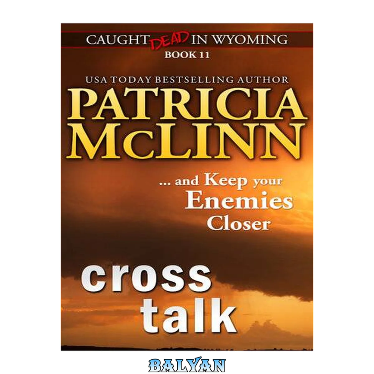 جلد کتاب Cross talk (caught dead in wyoming, book 11) : Caught Dead In Wyoming, #11